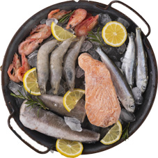 fresh fish