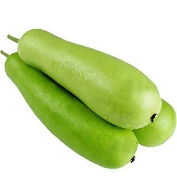 Giya or Bottle Gourd