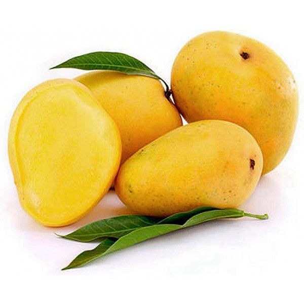 Yellow mango
